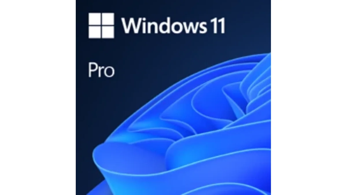 Windows 11 Pro