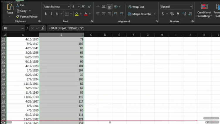 Microsoft Excel