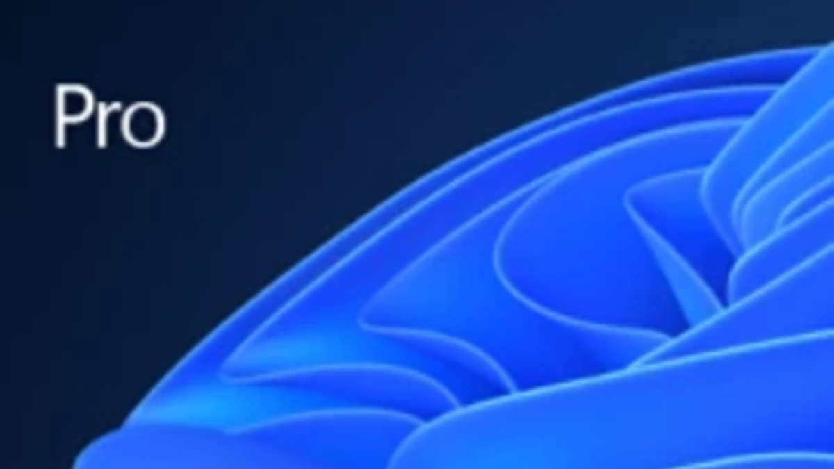 Windows 11 Pro