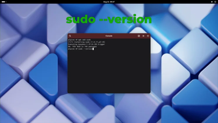 Terminal output of sudo --version confirming the install succeeded, showing the version string