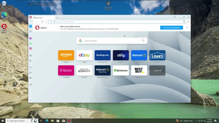 Screenshot of the Opera browser window after first launch