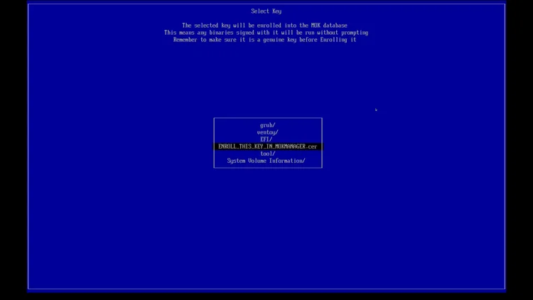 The blue MOK management screen listing grub, ventoy, EFI, ENROLL_THIS_KEY_IN_MOKMANAGER.cer, tool and System Volume Information.