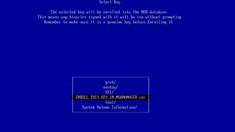 The blue MOK management screen listing grub, ventoy, EFI, ENROLL_THIS_KEY_IN_MOKMANAGER.cer, tool and System Volume Information.