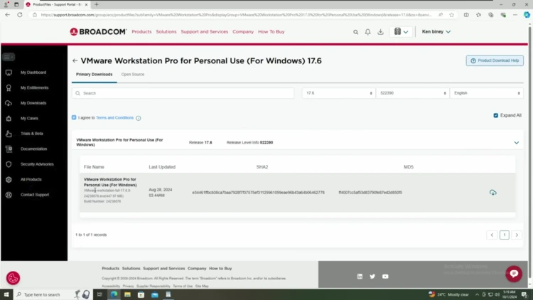 Screenshot of the Broadcom support portal download page for VMware Workstation Pro for Personal Use (Windows) 17.6, with the Terms and Conditions checkbox checked and the download button visible.