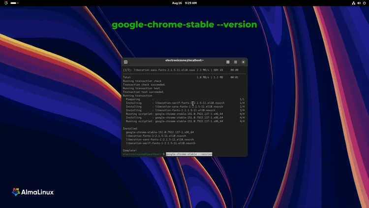 Step 4: Verify the install